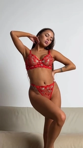 Close-up of red cherry embroidery and delicate lace trim on semi-transparent mesh lingerie