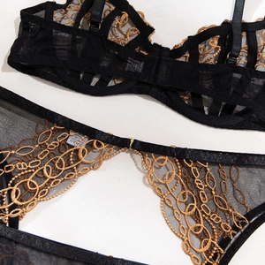 Detail of black sheer mesh lingerie with intricate gold embroidered ring patterns