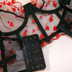 Detailed macro view of black mesh lingerie with red heart embroidery and hook-and-eye closure