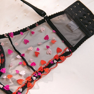 Detail of lace bra featuring heart embroidery and adjustable three-row hook closure