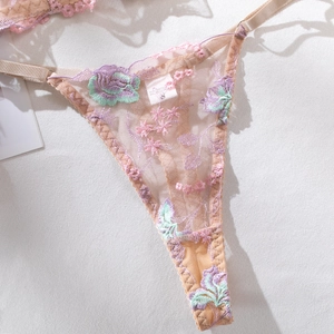 Macro view of mesh thong with delicate floral embroidery and adjustable straps