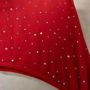 Detail shot of sheer red mesh fabric with glittering sequins and high-quality stitching