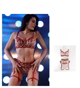 Detailed view of red lace lingerie set with heart embroidery and garter belt