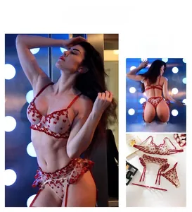 Detail of red heart embroidery on white mesh lingerie set with garter belt and bra