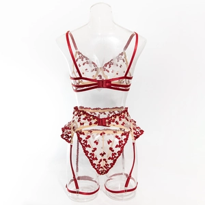 Detail of red heart embroidery on sheer mesh lingerie set with garter belt