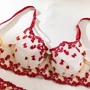 Detailed macro view of heart embroidery on ivory lace mesh with red underwire cups