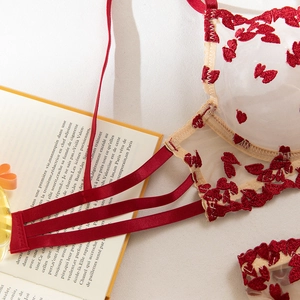 Close-up of red heart embroidery on sheer mesh lingerie with triple satin shoulder straps