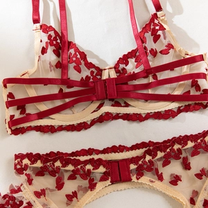 Detail of red heart embroidery on sheer mesh lingerie with multi-strap back closure