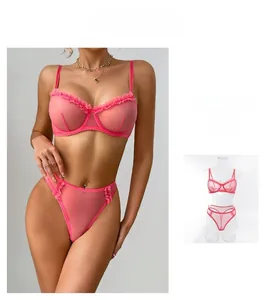 Detail of pink sheer mesh lingerie set with underwire bra and ruffled lace trimming