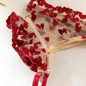Macro shot of delicate beige mesh with red heart embroidery and scalloped lace trim