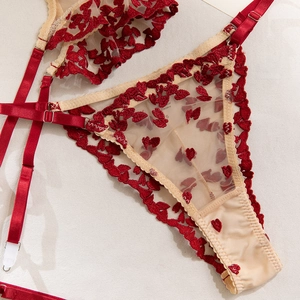 Detail of red heart embroidery on sheer mesh lingerie with adjustable straps