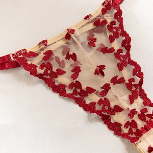 Detail of red heart embroidery on sheer mesh lingerie with adjustable satin straps