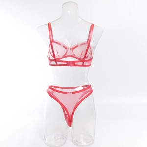 Detailed view of red sheer mesh lingerie set with underwire lace cups and thin straps