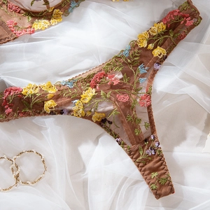 Detail view of brown mesh thong featuring vibrant multi-colored floral embroidery