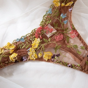 Detail of sheer brown mesh panties with vibrant floral embroidery and intricate stitching
