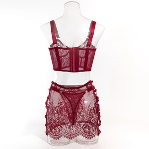 Detailed back view of burgundy lace lingerie set with adjustable straps and hook eye closure