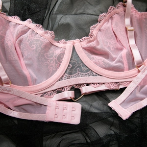 Détail de soutien-gorge en dentelle rose clair avec mesh transparent et boucles dorées