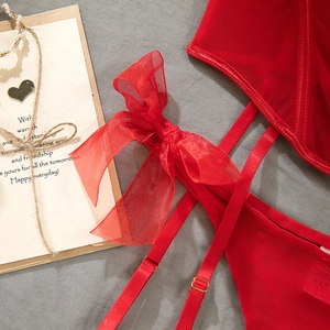 Close-up of red mesh lingerie with large organza bow and golden hardware detail