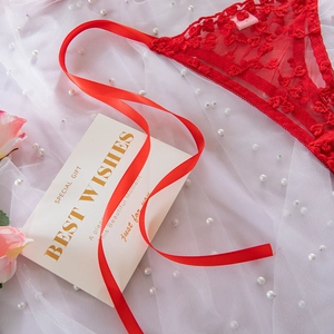 Dettaglio di slip in pizzo rosso con ricamo a cuore e eleganti nastri di raso lucido