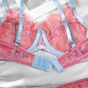 Detail view of pink eyelash lace bra with blue straps and three-row hook-and-eye closure