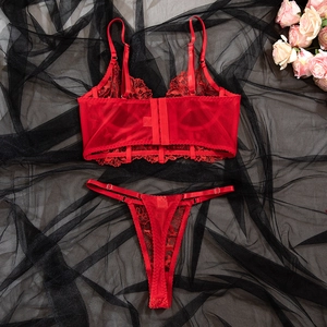 Details des roten Blumen-Spitzen-Lingerie-Sets mit transparenter Mesh-Bestickung