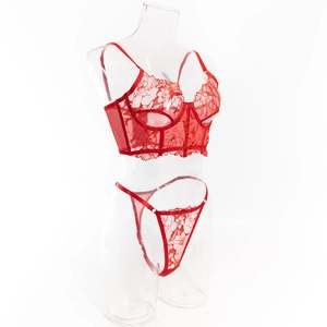 Detailansicht von roter floraler Spitzenstickerei und Mesh-Bustier mit passendem Thong