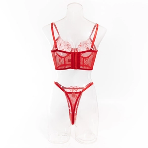 Detailansicht eines roten Spitzen-Lingerie-Sets mit Bügel-BH und passendem Tanga-Slip