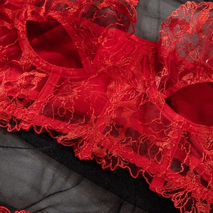 Nahaufnahme der roten Blütenspitze und Netzgewebe des sexy Bügel-BH-Sets