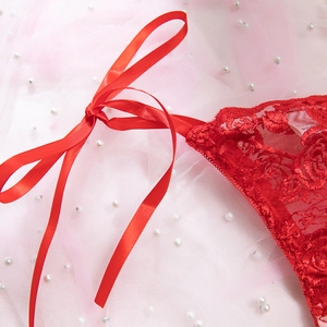 Dettaglio ricamo in pizzo rosa rossa e nastri di raso setosi su lingerie di lusso