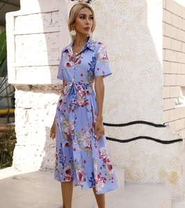 Detail of light blue floral dress showing a classic collar and button-down front