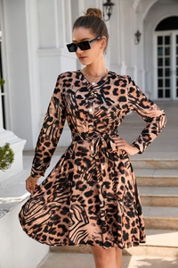 Close-up of leopard print long-sleeve dress with V-neck and button details