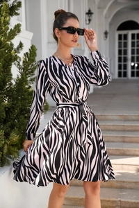 Close-up of zebra print long sleeve dress with V-neckline and button details