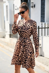 Detailed view of leopard print long sleeve dress with V-neckline and gold button accents