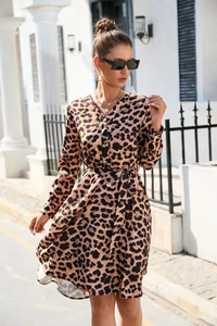 Detail of leopard print maxi dress featuring V-neckline and button-down front with belt