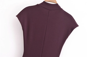 Close-up of a burgundy sleeveless slim-fit dress with stand collar and center back seam