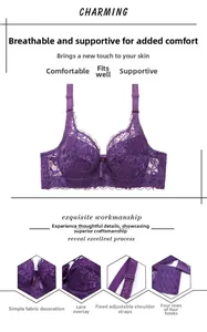 Detail of purple lace bra featuring four-row hook-and-eye back closure and adjustable straps
