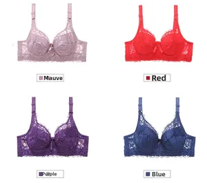 Lace bra set in four colors: mauve, red, purple, and blue with floral embroidery details