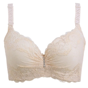 Elegant beige full cup lace bra with supportive wide wings and rhinestone decoration