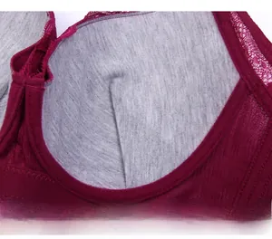 Macro shot of dark red lace bra showing inner cup structure and steel underwire support