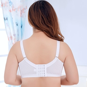 White lace plus size bra with wide heart-embossed straps and four-row back closure