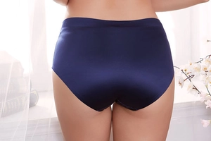 Vue arrière de culotte sans couture bleu foncé grande taille avec texture lisse et douce