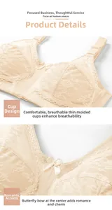 Detail of sheer lace bra showing adjustable straps and bow accent on thin molded cups
