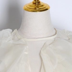 Detailed close-up of white semi-transparent chiffon blouse with ruffled round collar
