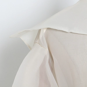 Detailed view of elegant beige sheer blouse with a large lapel and lantern sleeve texture