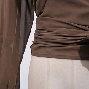 Detail of sheer brown chiffon blouse showing pleated waist and semi-transparent sleeve
