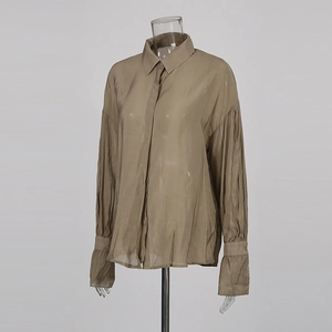 Detail of sheer brown long-sleeve chiffon blouse with glossy fabric and pointed collar