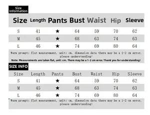 Size guide for mesh long sleeve crop top with bust, waist, and sleeve measurements