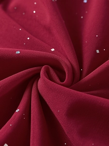 Detailed macro view of dark red mesh fabric with glittering silver sequins on long dress