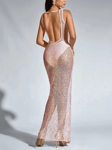 Detail of sequin mesh fabric on backless slim fit long evening dress for women