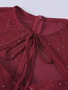 Dettaglio macro dell'abito in mesh bordeaux con paillettes argento, fiocco e zip nascosta